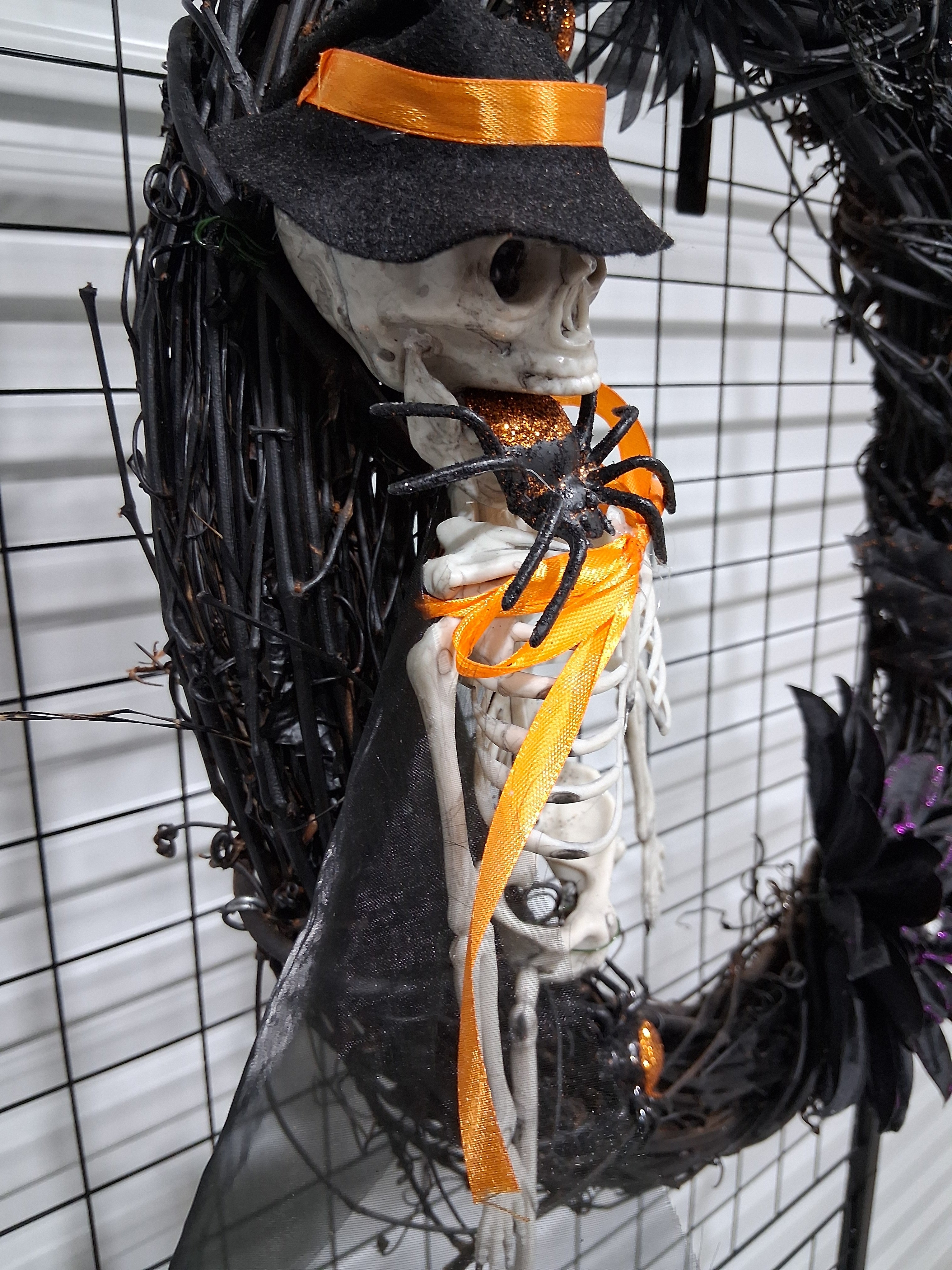 Spider Skelly